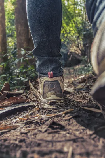 Nature Walk - Opening May 2026