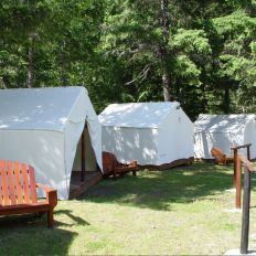 Cabin tent